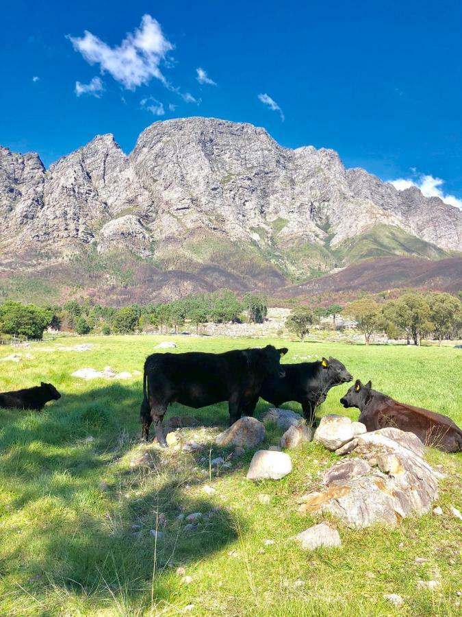 The Barn In Franschoek Guest House Franschhoek Luaran gambar