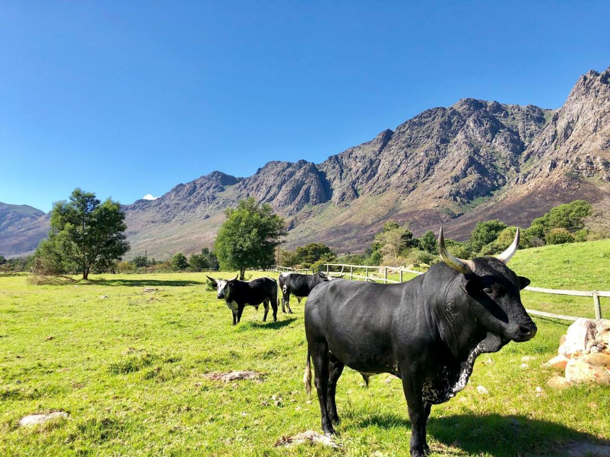 The Barn In Franschoek Guest House Franschhoek Luaran gambar